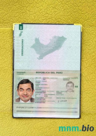 Peru zdjęcie do paszportu pliki PSD, skan i fotografowany obraz